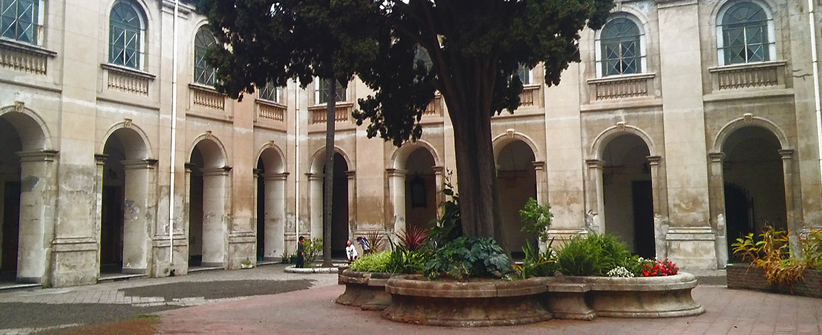 Cipres del Convento